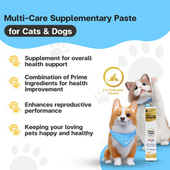 VFCARE Feline Vitality daily vitamin paste presented as a tasty cat treat.