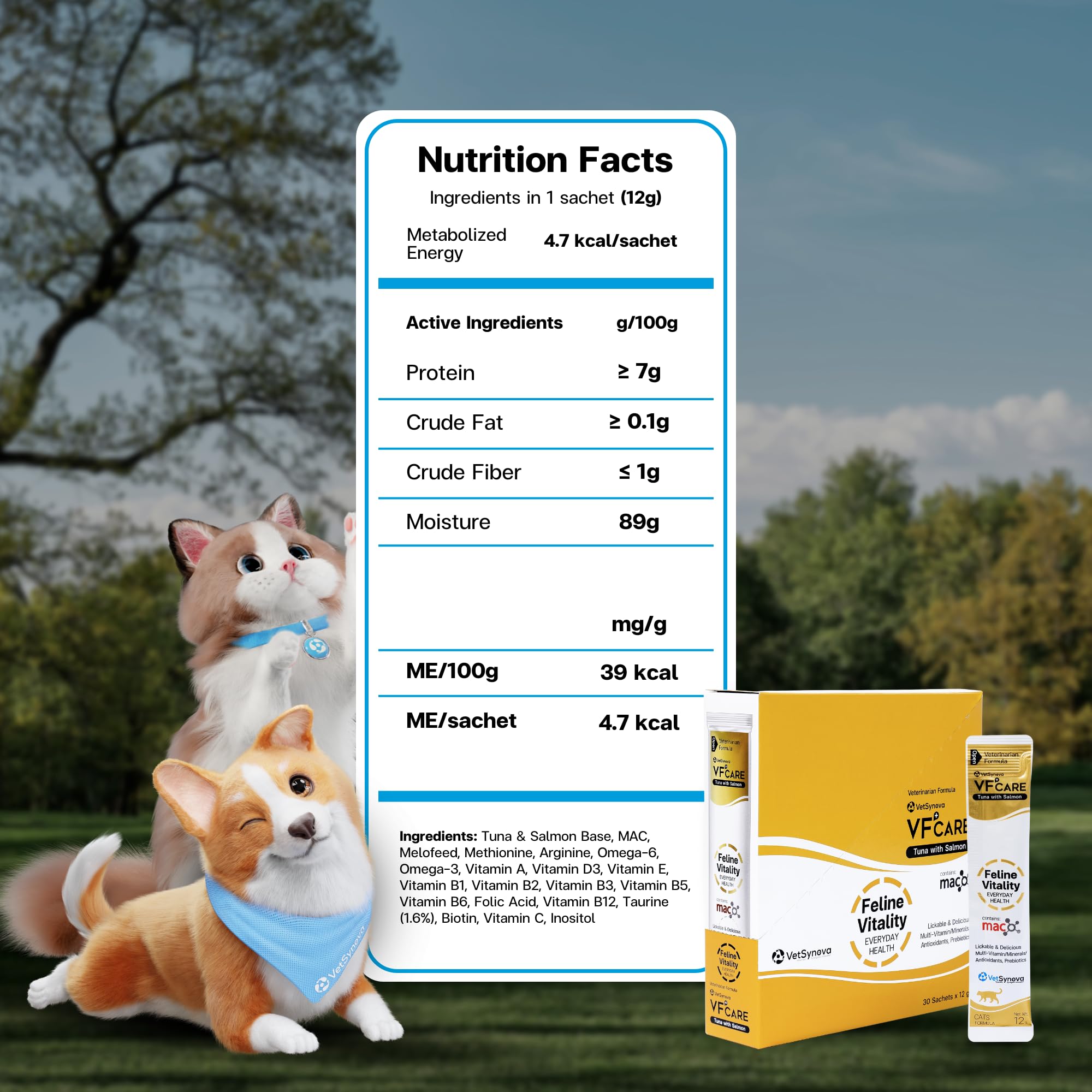VFCARE Feline Vitality multi-vitamin paste supports hydration and coat shine.