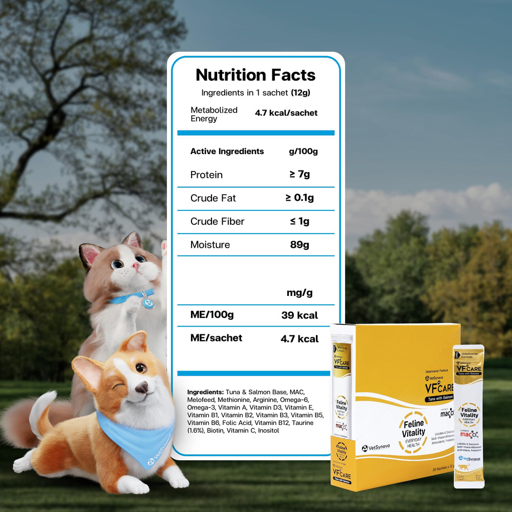 VFCARE Feline Vitality multi-vitamin paste supports hydration and coat shine.
