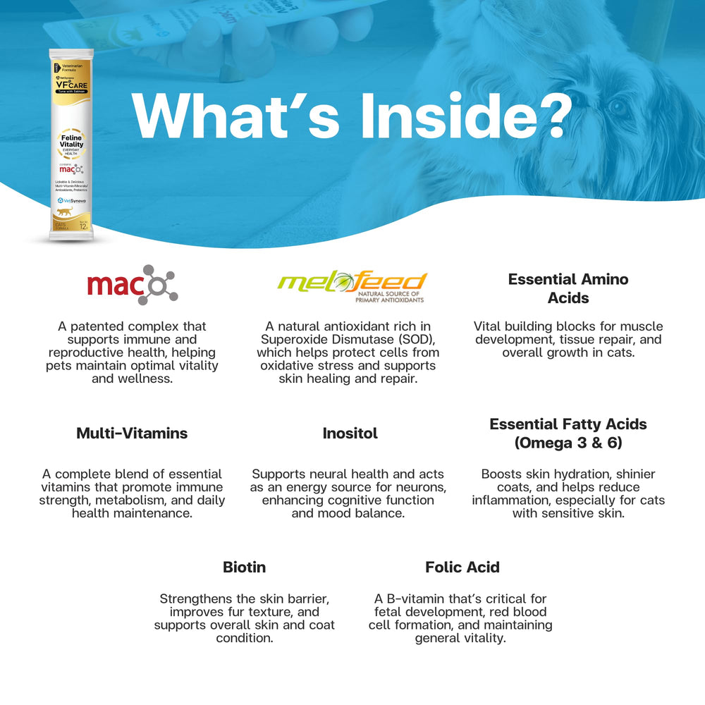 VFCARE Feline Vitality palatable lickable paste cats enjoy during daily care.