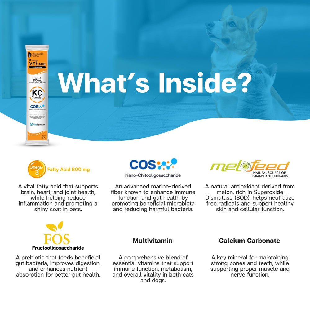 VFCARE KC Complex coat and skin health close-up visual.