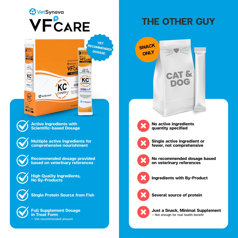 VFCARE KC Complex immune support illustration highlighting antioxidant protection.