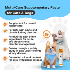 VFCARE KC Complex omega-3 for cats bottle boosts coat shine.