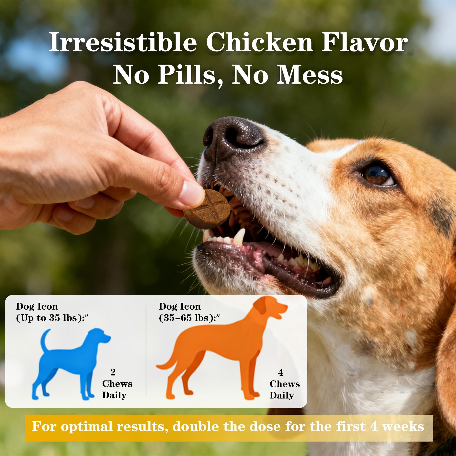 Vialoe Joint Complex featuring turmeric-curcumin ingredients.