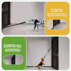 VibeVerve ball and rope interactive toy: keeps dogs mentally engaged during solo play.
