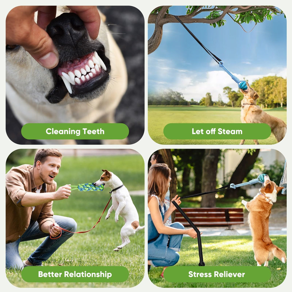 VibeVerve door tree hang toy: easy setup for indoor or outdoor play.