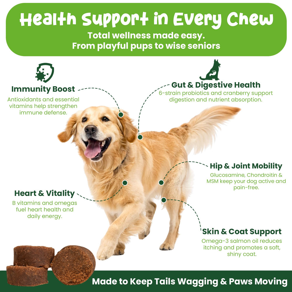 Vibin' Tails probiotic blend label highlighting gut health support
