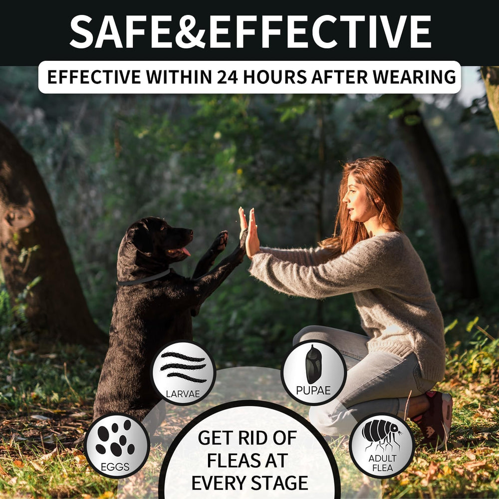 Adjustable VICSOM dog collar up to 26 inches for comfort.
