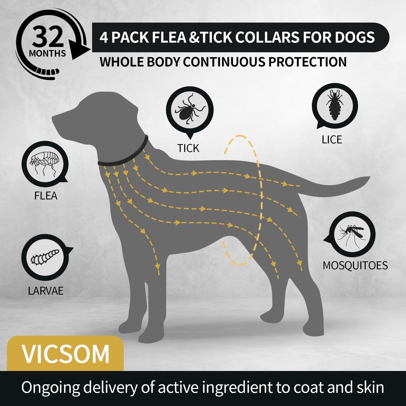 VICSOM waterproof dog flea collar ready for rain and play.