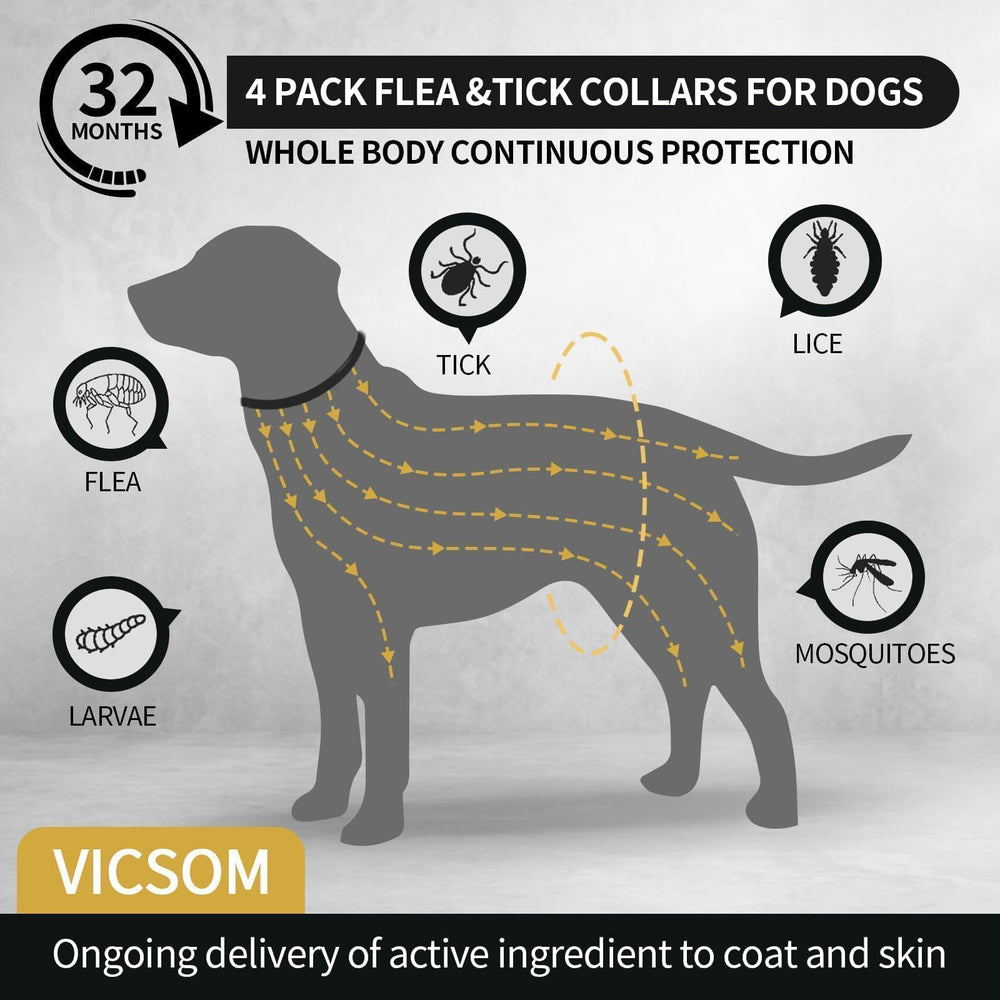 VICSOM waterproof dog flea collar ready for rain and play.