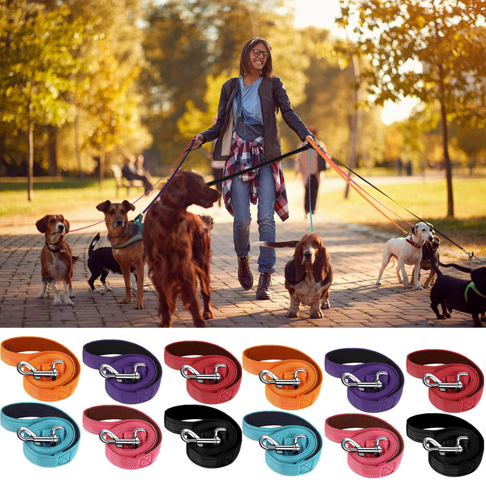 Vicenpal reflective dog leash purple with double sided visibility for night walks