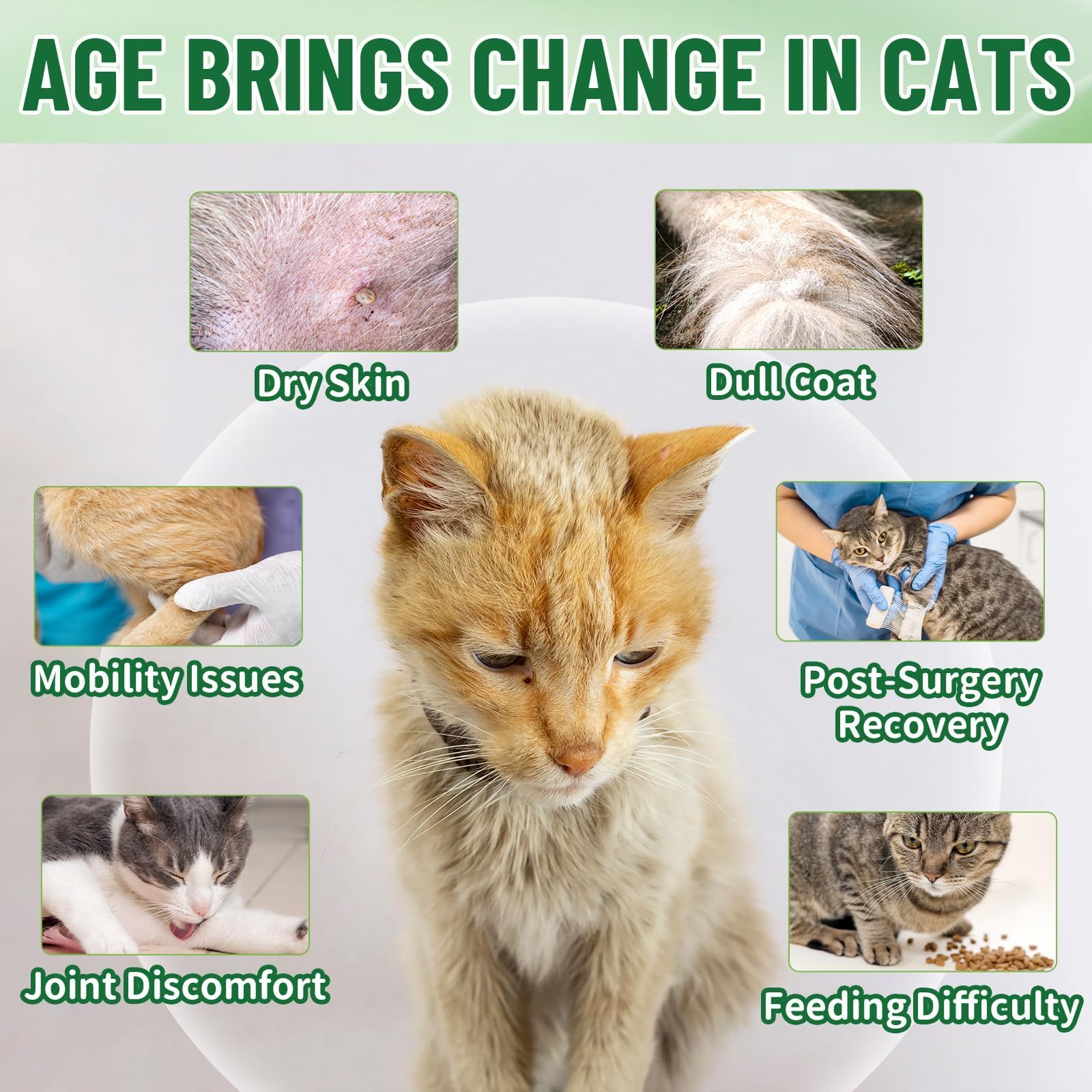 VICSOM Cat Collagen Drops dropper in use for simple daily dosing and mobility support.