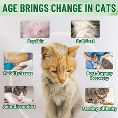 VICSOM Cat Collagen Drops dropper in use for simple daily dosing and mobility support.