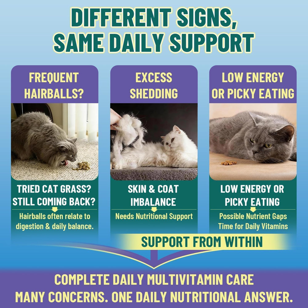 VICSOM digestive health cat chew with fish oil for balance after meals.