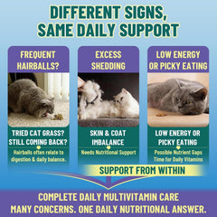 VICSOM digestive health cat chew with fish oil for balance after meals.