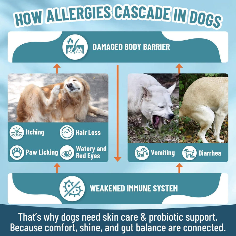 VICSOM chews served with meals ease routine for sensitive dogs