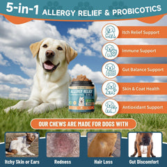 VICSOM soft chews for dogs provide daily allergy and gut balance support