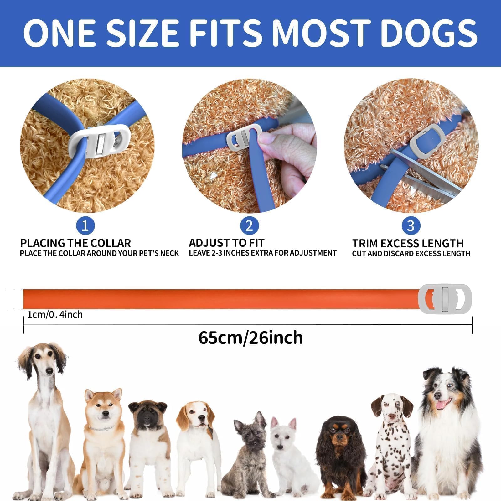 65 cm max length VICSOM collar shown on dogs of various sizes