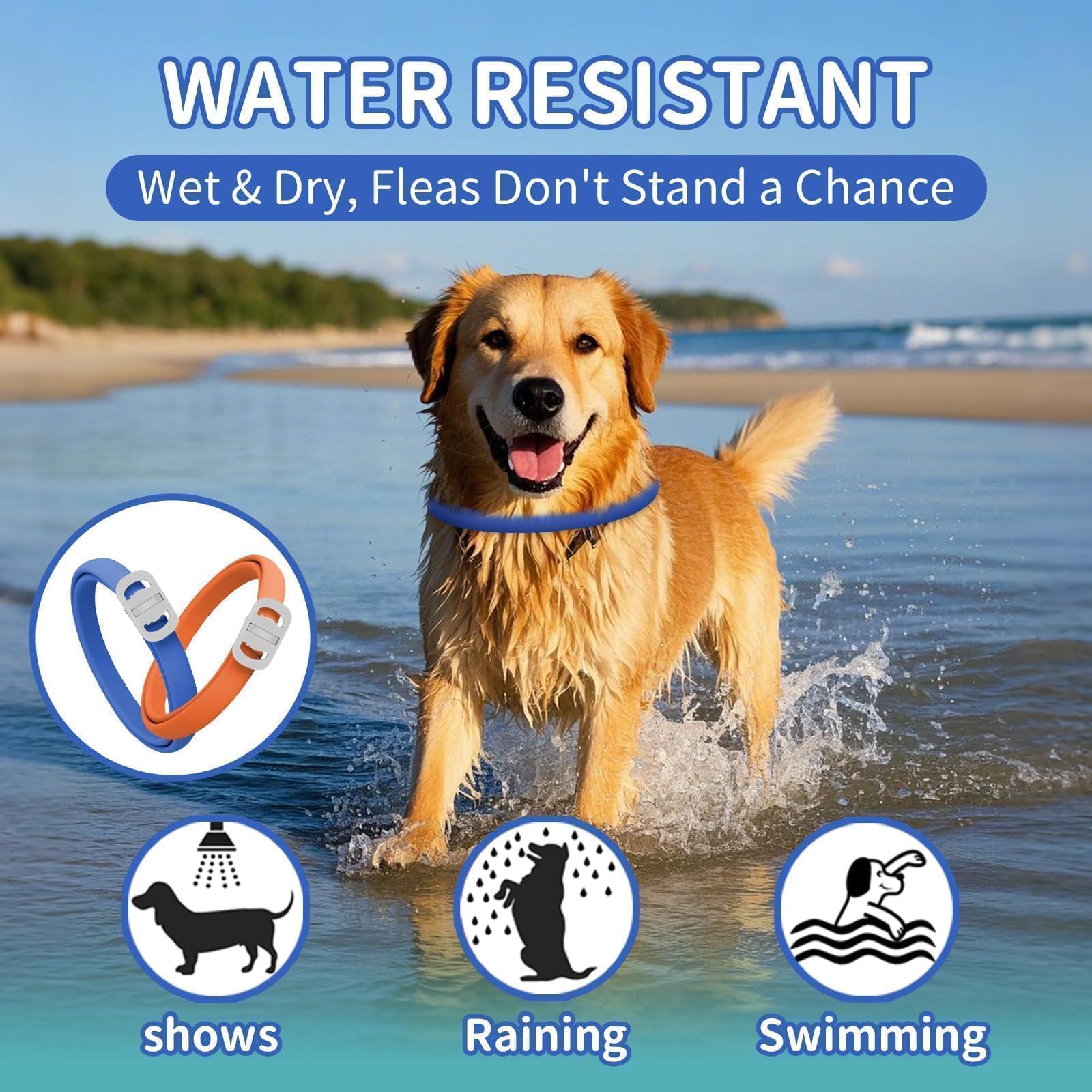 Water-resistant VICSOM dog collar for rain and baths