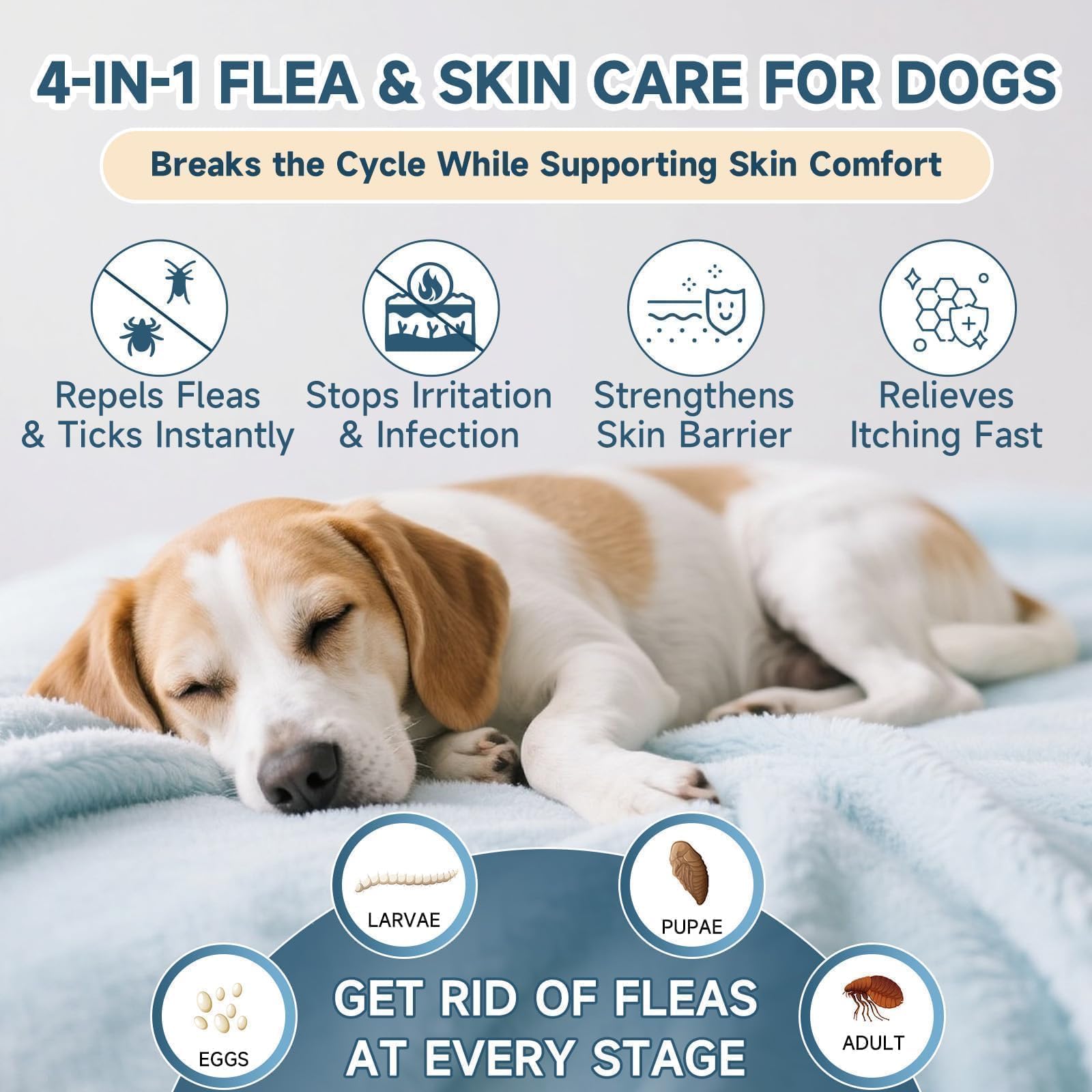 VICSOM 6-month-pack simplifies ongoing flea prevention for busy households.