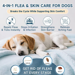 VICSOM 6-month-pack simplifies ongoing flea prevention for busy households.