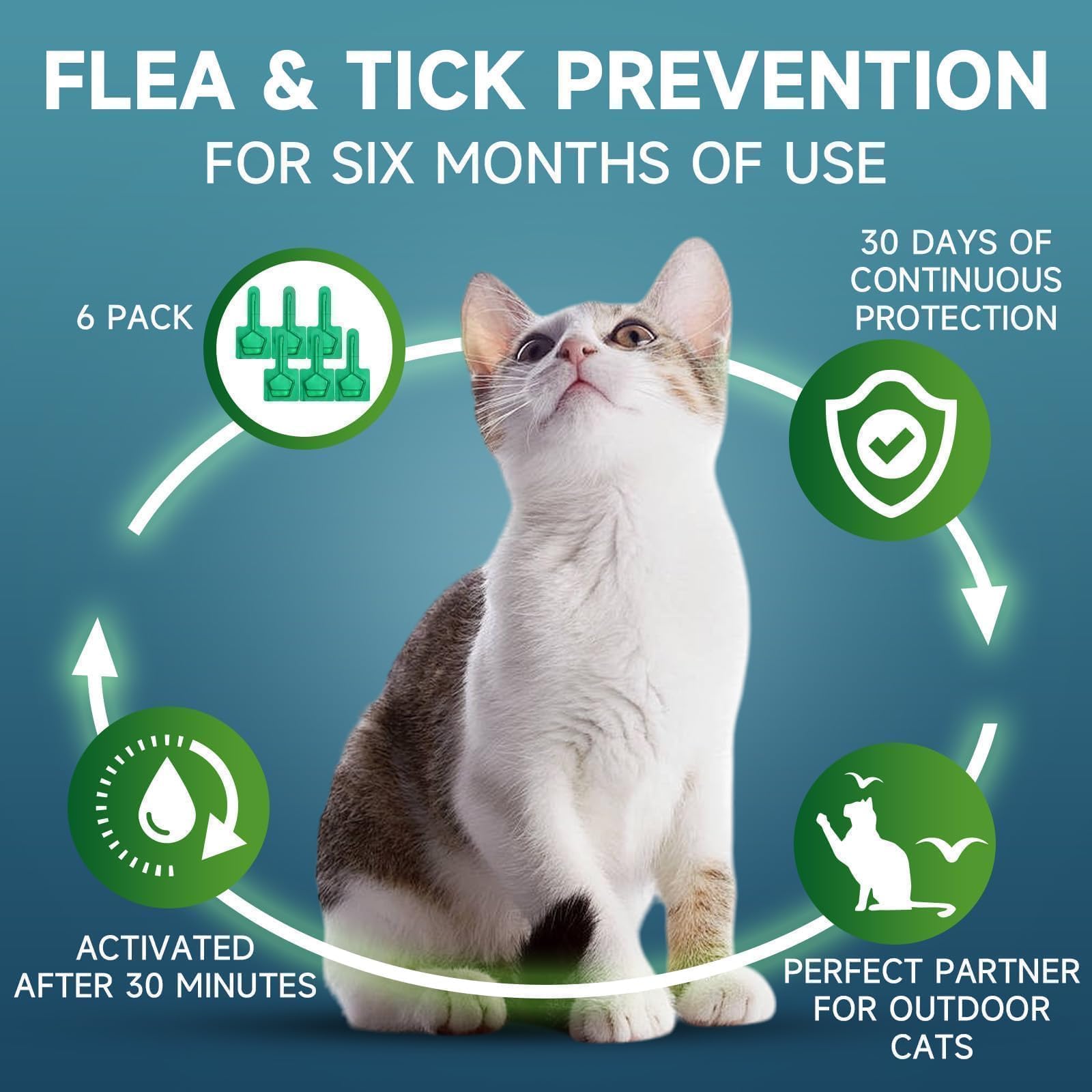 VICSOM flea-tick protection illustrating lifecycle disruption and prevention.