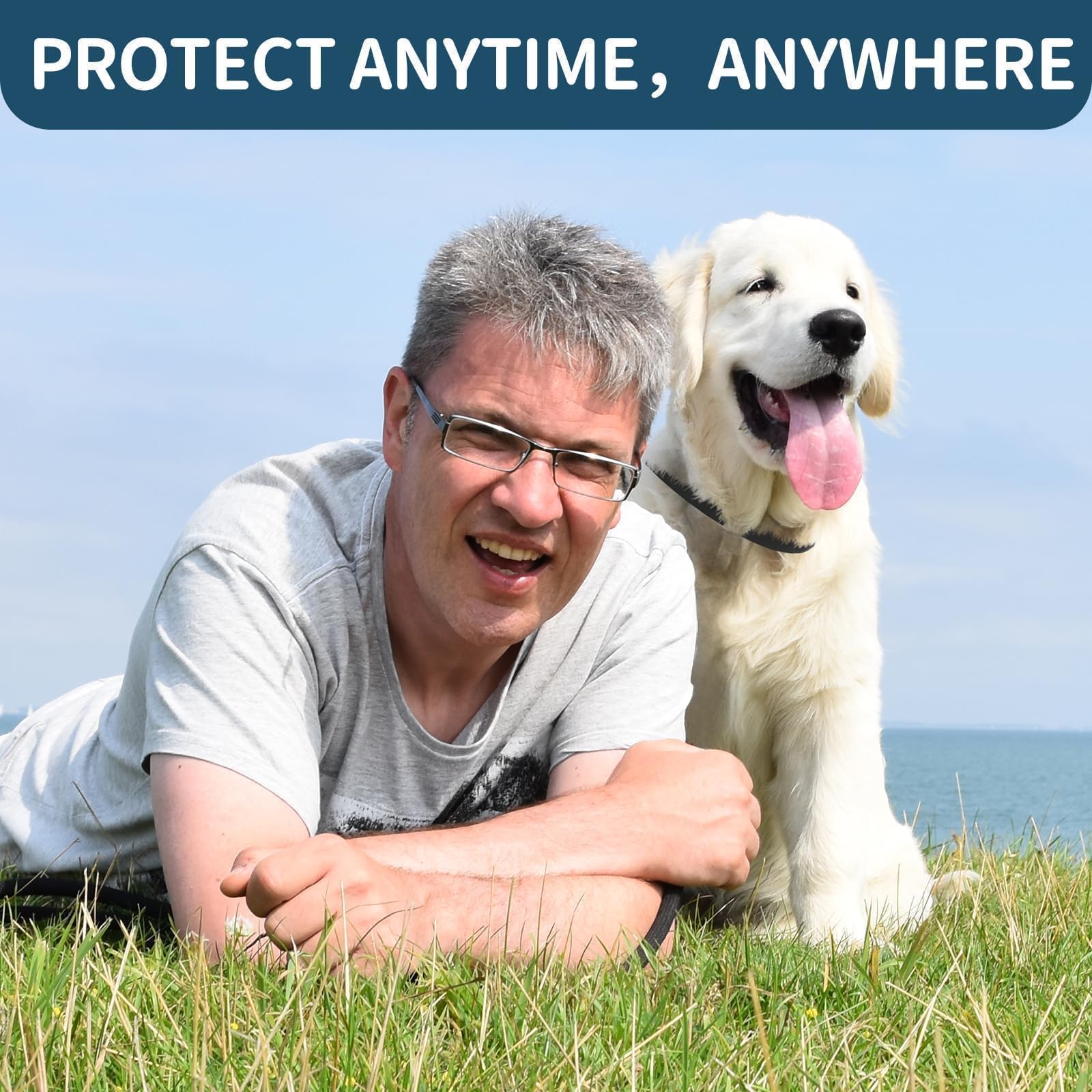 VICSOM metal clasp ensures secure fit on active dogs
