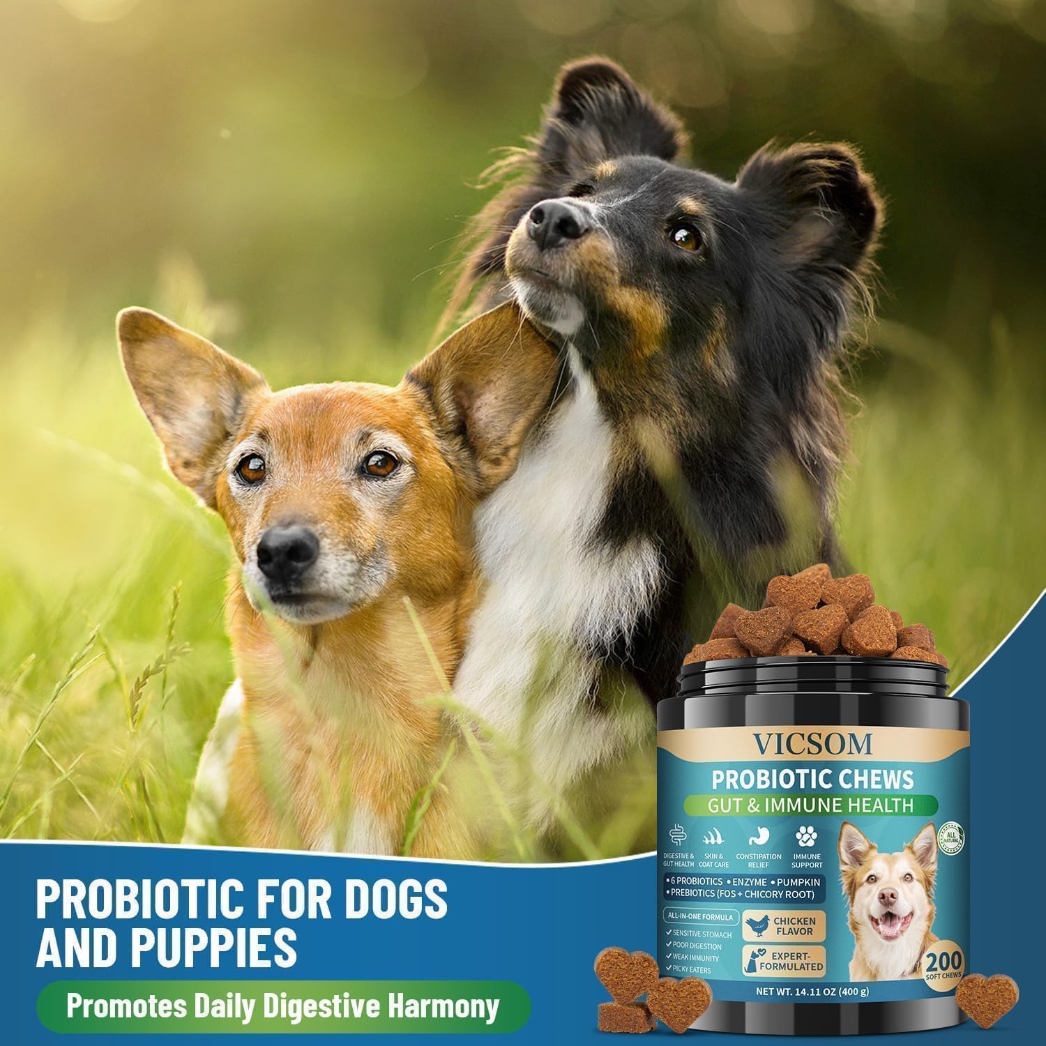 All breeds supported by VICSOM probiotic chews.