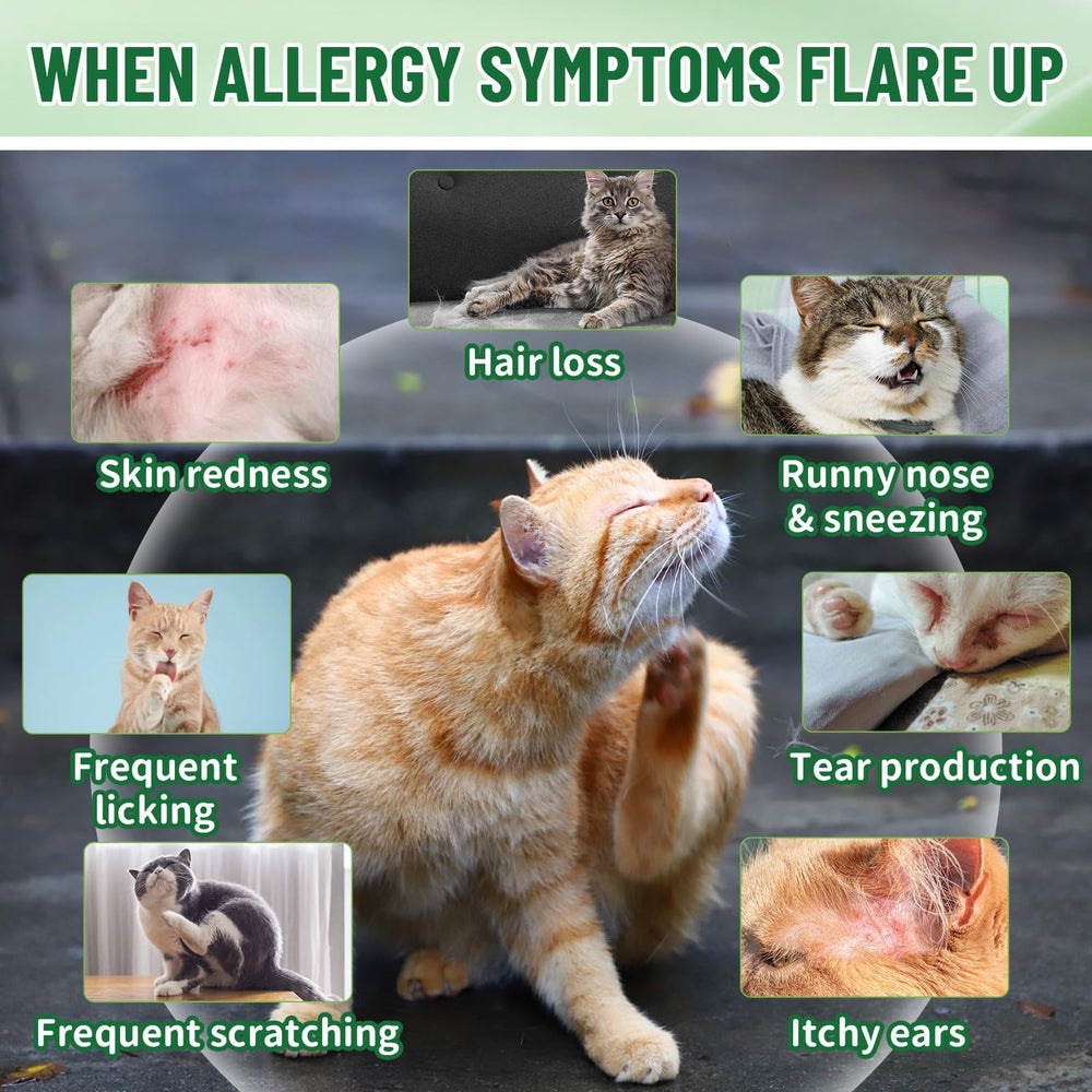 VICSOM drops with Echinacea and Elderberry against seasonal allergy flare-ups in cats.