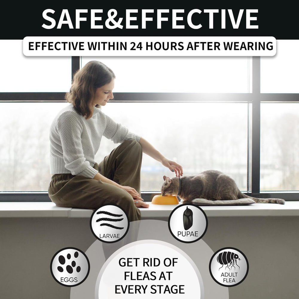 VICSOM soft silicone cat collar close-up emphasizes comfortable wear.