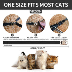 VICSOM waterproof cat flea collar worn by a cat in rain.
