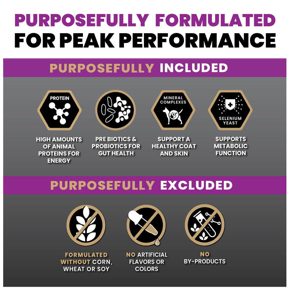 VICTOR 26 percent protein badge signaling high-energy support for athletic dogs