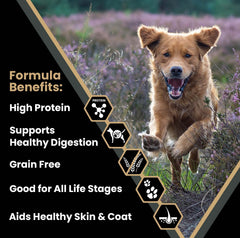 VICTOR 42-percent protein dry dog food close-up emphasizes high-protein nutrition for strength.