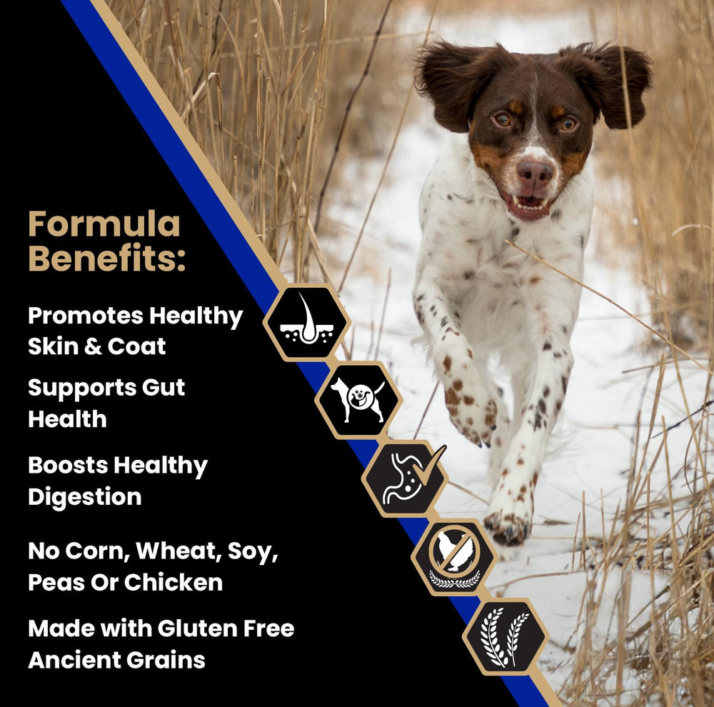VICTOR Beef Meal Brown Rice kibble closeup highlights high-protein, digestible nutrition.