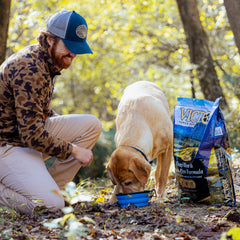 VICTOR beef meal dry dog food kibble closeup — high quality protein source