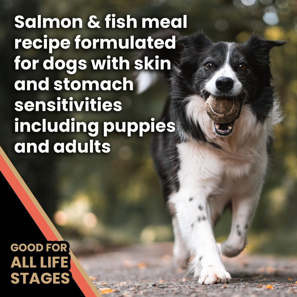 VICTOR kibble in a bowl alongside a paw, gut-friendly probiotics.