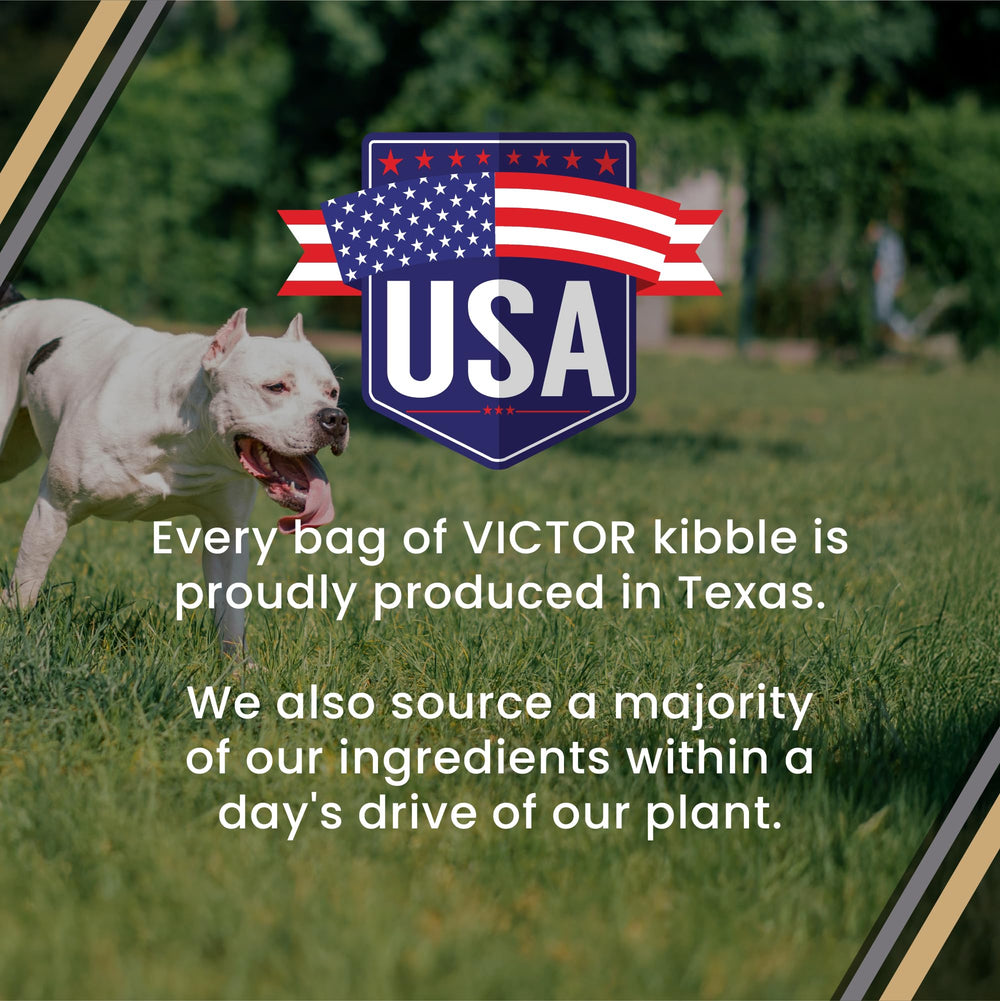 Victor Bully Fuel meets all-life-stages guidelines except large breed growth.