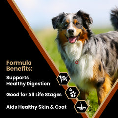 Closeup of VICTOR kibble highlighting the chicken meal protein source