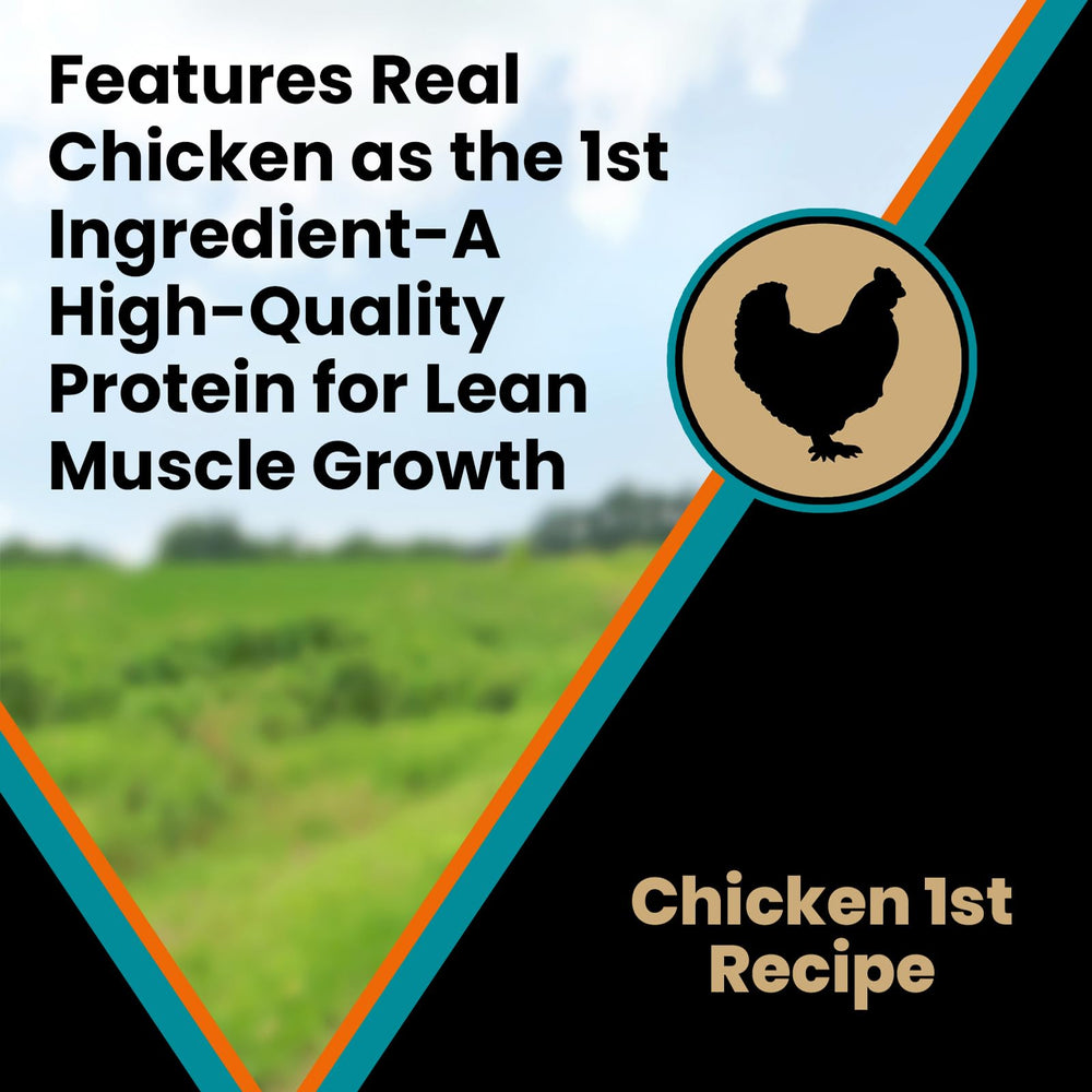 VICTOR Classic Hi-Pro Plus Large Breed Puppy ingredients close-up, gluten-free ancient grains and prebiotics