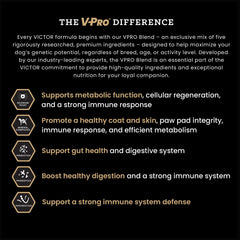 VICTOR Classic Hi-Pro Plus kibble close-up showing high-protein formula for lean muscle