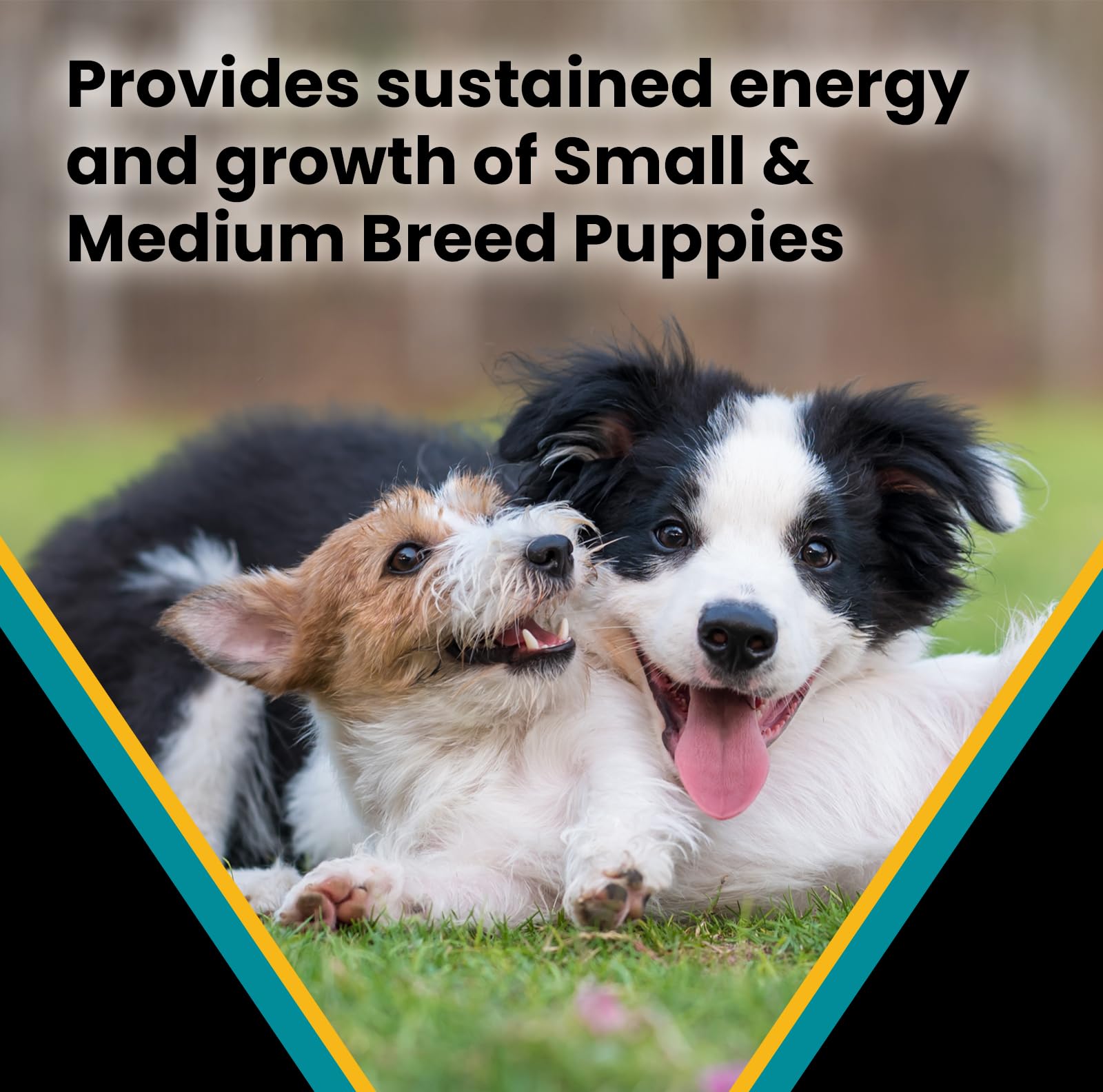 VICTOR Classic Hi-Pro Puppy minerals support strong bones and teeth.