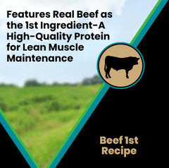Close-up of beef-first ingredient in VICTOR Classic Hi-Pro Small Breed.