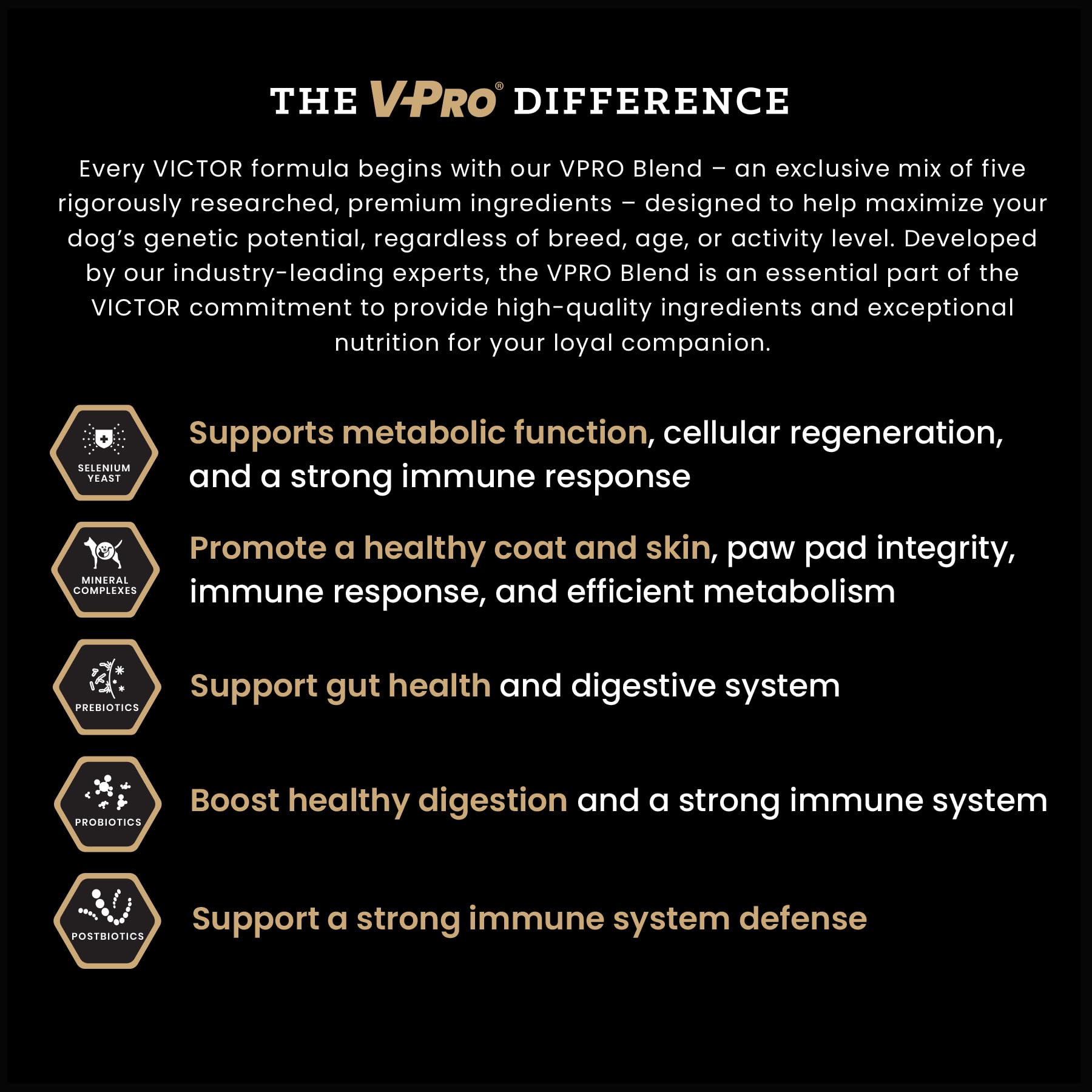 VICTOR Classic Hi-Pro puppy DHA supports brain and vision development.
