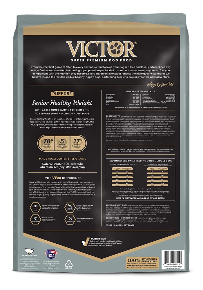VICTOR dry dog food bowl with kibble ready to serve.