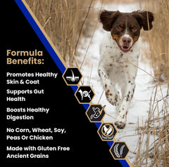 VICTOR kibble closeup shows beef meal as first ingredient for lean muscle support
