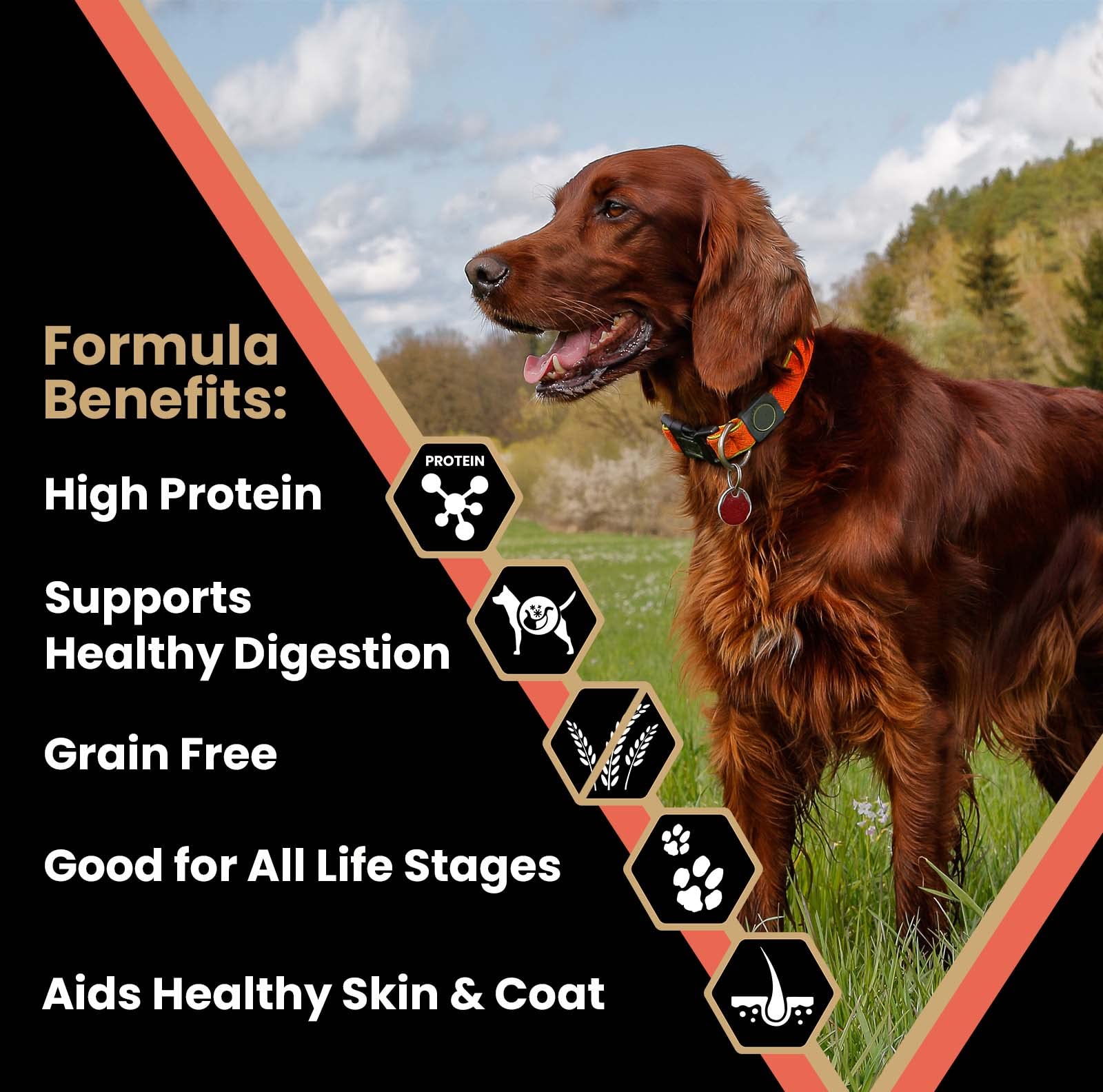 VICTOR Fish Protein image emphasizes premium fish sources for protein-sensitive dogs.