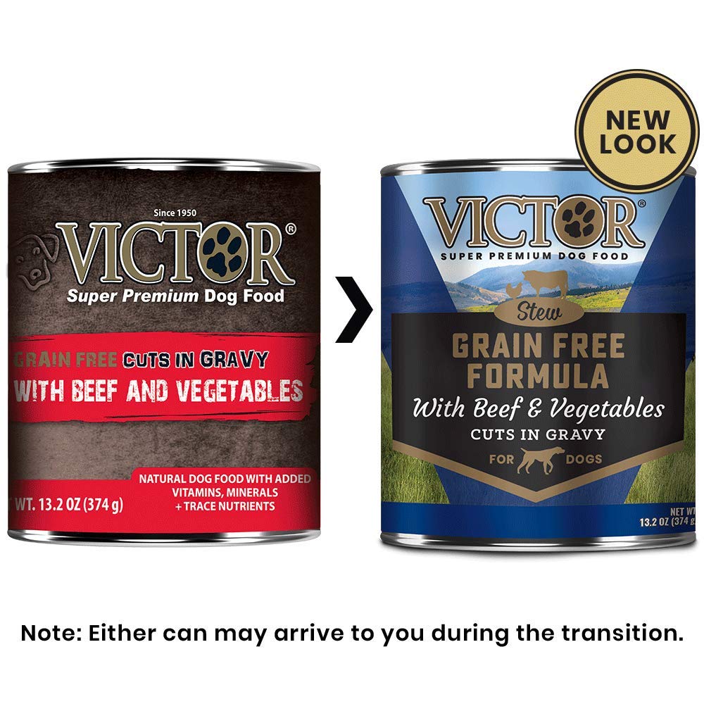 VICTOR grain-free wet dog food bowl showcases tender chunks and natural flavors.