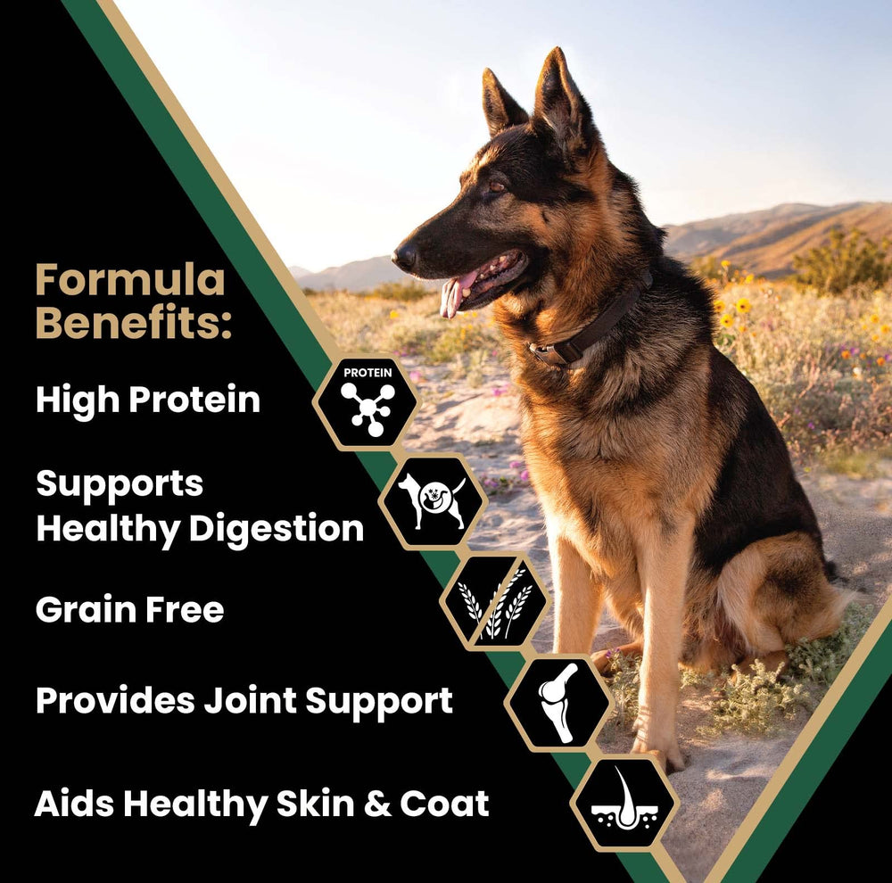 VICTOR Hero Canine Kibble serving bowl highlighting high-protein meal