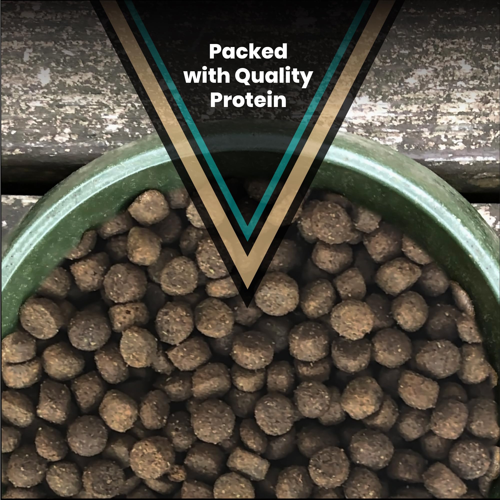 VICTOR Hi-Pro Plus meal bowl for an active dog with balanced nutrition
