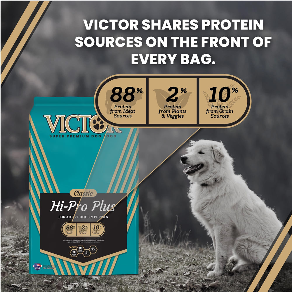 VICTOR Hi-Pro Plus meat-meal formula emphasizes beef, chicken, pork, and fish sources